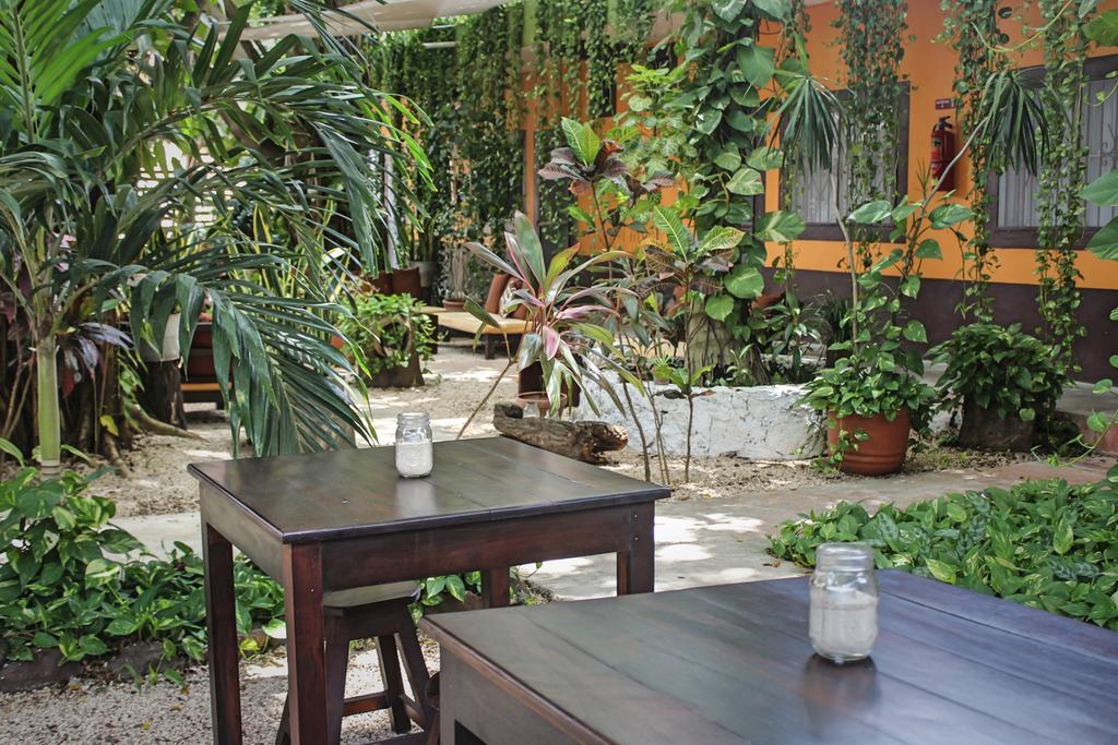 Secret Garden Tulum Hotel المظهر الخارجي الصورة
