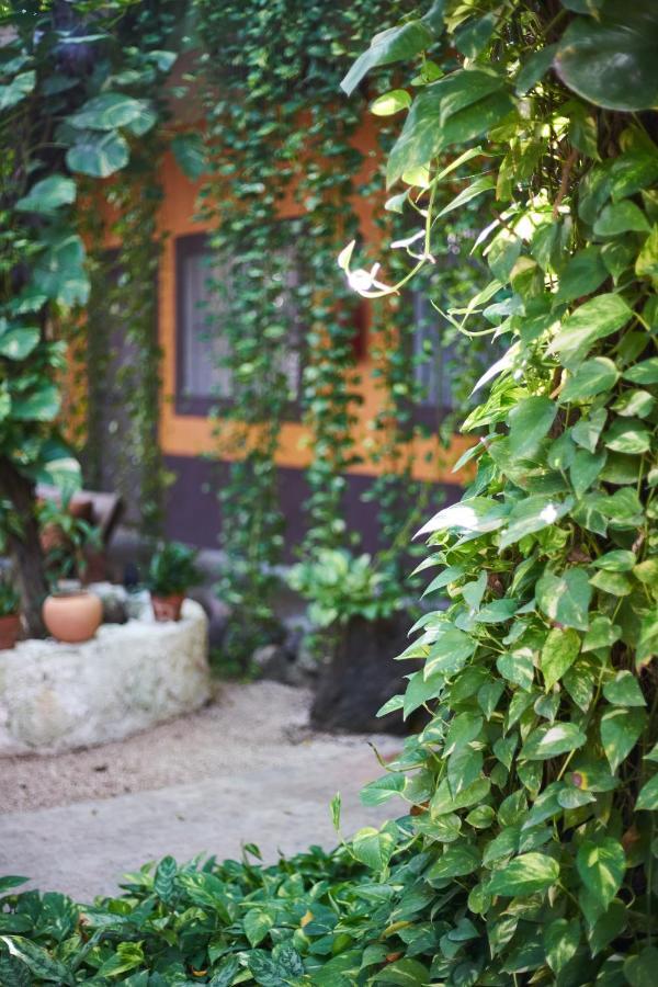 Secret Garden Tulum Hotel المظهر الخارجي الصورة